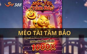Mèo Tài Tầm Bảo