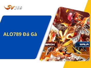 Alo789 đá gà