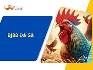 Bj88 đá gà